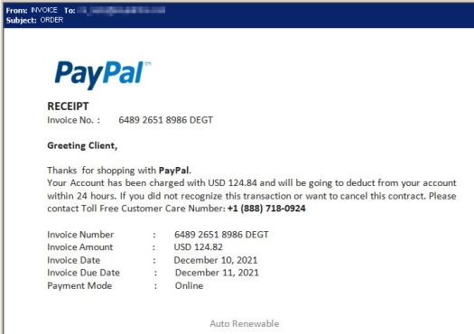 PayPal Scam