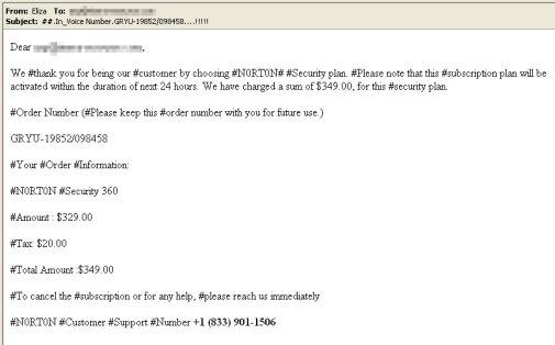 Norton Scam